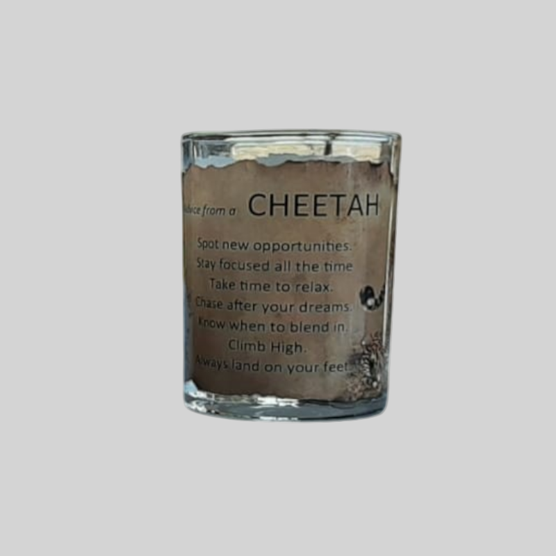 South African Animal Advise Scripted Glasses