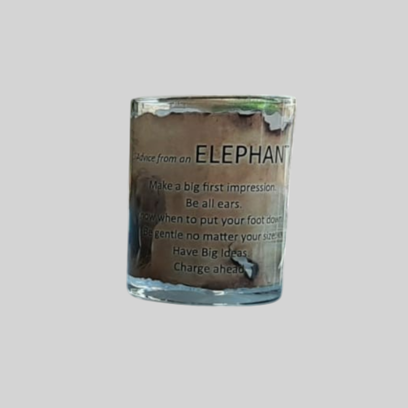 South African Animal Advise Scripted Glasses
