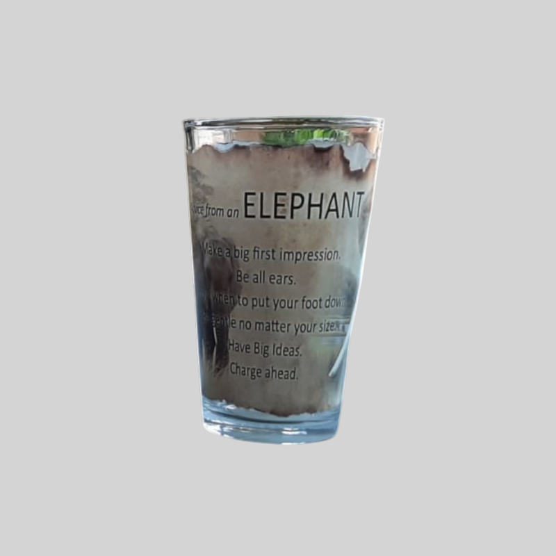 South African Animal Advise Scripted Glasses