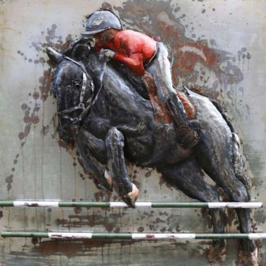 Show Jumping