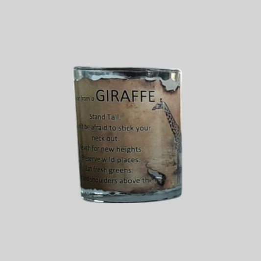South African Animal Advise Scripted Glasses