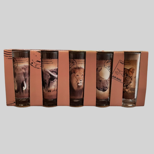 Big 5 Shot Glasses